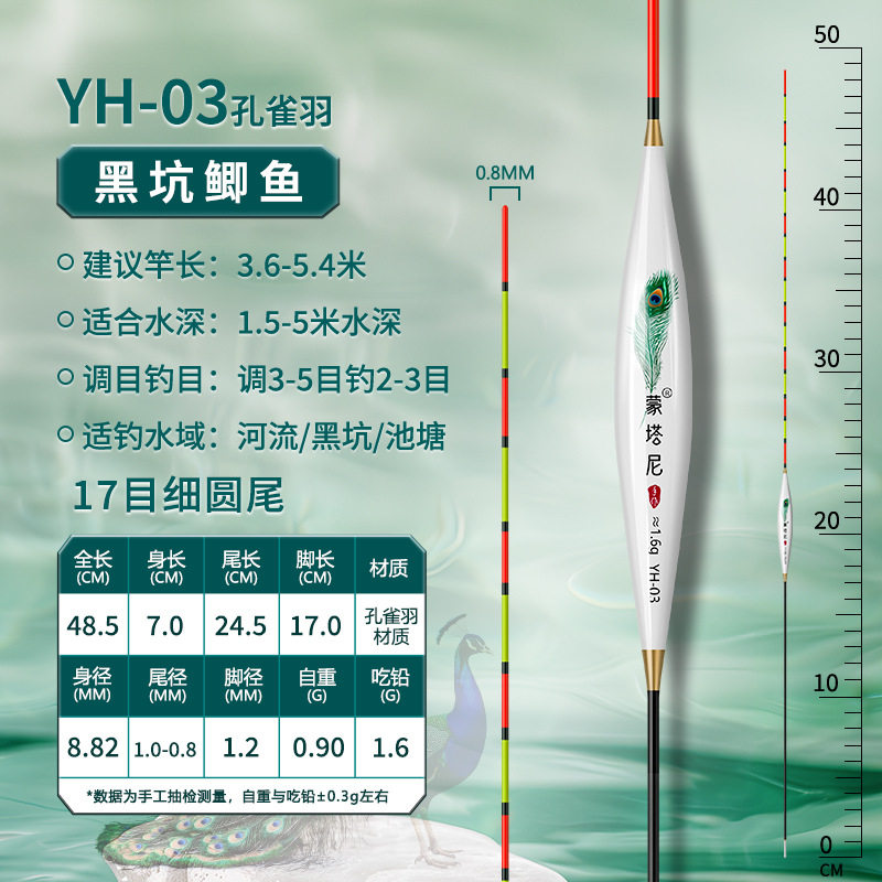 黄金眼去壳孔雀羽鱼漂野钓黑坑漂