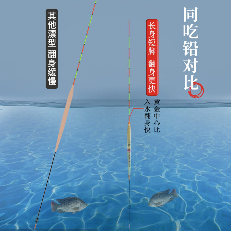 黄金眼芦苇漂长身底钓罗非漂鱼漂