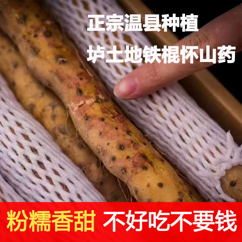 温县正宗垆土铁棍山药新鲜5斤铁棒河南焦作铁杆特产铁桂铁根准怀