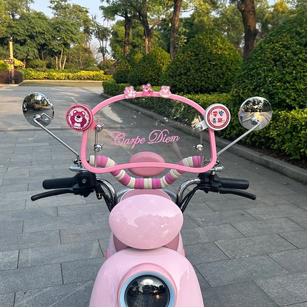电动车前挡风板可爱粉色挡风板雅迪爱玛绿源通用电动车通用前挡风