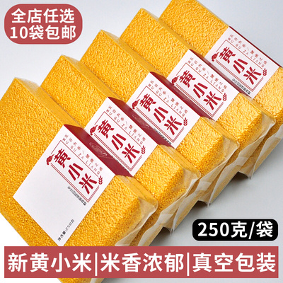 黄小米五谷食用煮稀饭小米粥