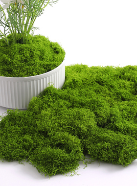 仿真苔藓草皮造景仿生假青苔微景观布置摆件草坪盆景盆栽铺面装饰