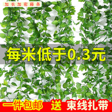 仿真葡萄叶假花藤条藤蔓植物塑料绿萝叶子绿叶水管道缠绕吊顶装饰