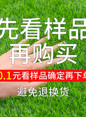 【样品专拍】人造仿真工程草坪