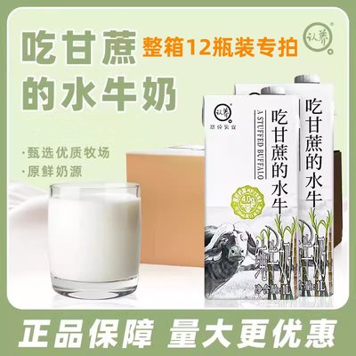 认养吃甘蔗的水牛奶轻乳茶水牛奶