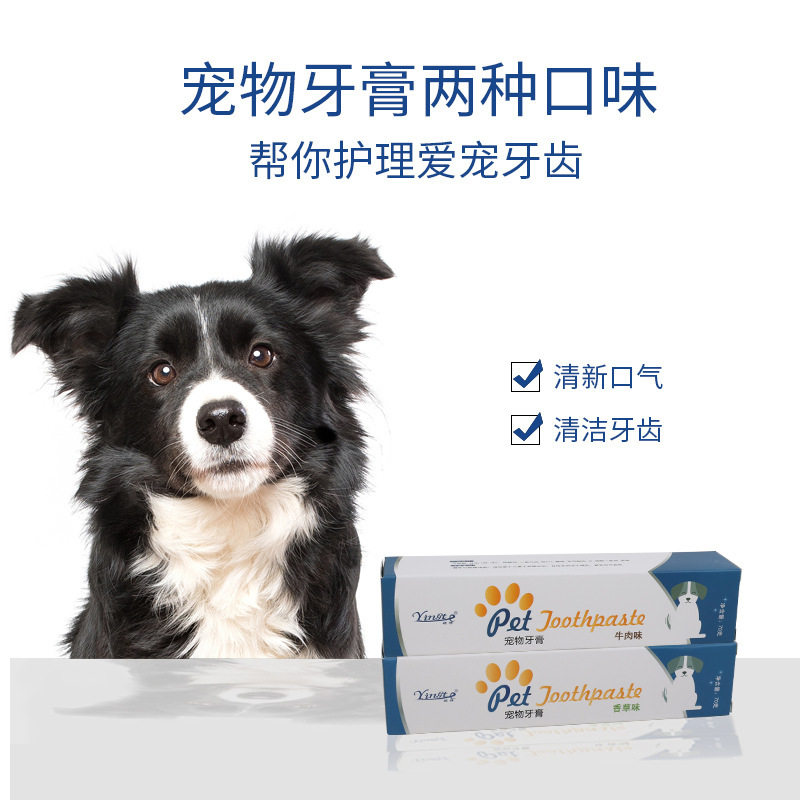 宠物猫咪狗狗牙刷牙膏套装小型犬去牙结石口臭可食用牙齿清洁刷牙
