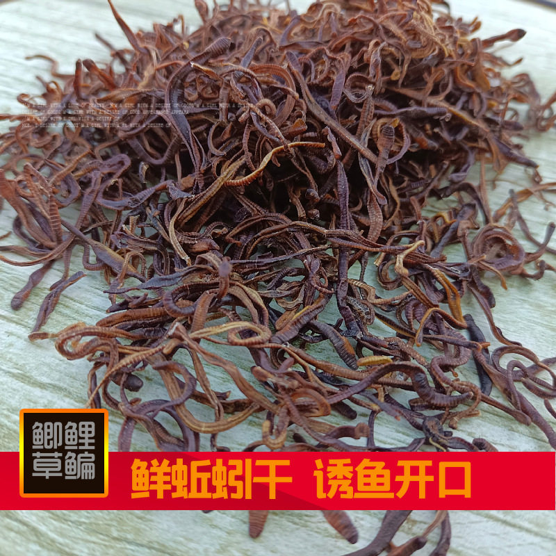速聚达饵料添加鲜蚯蚓干诱鱼开口上鱼快鲫鲤草鳊钓鱼饵料蚯蚓厂家