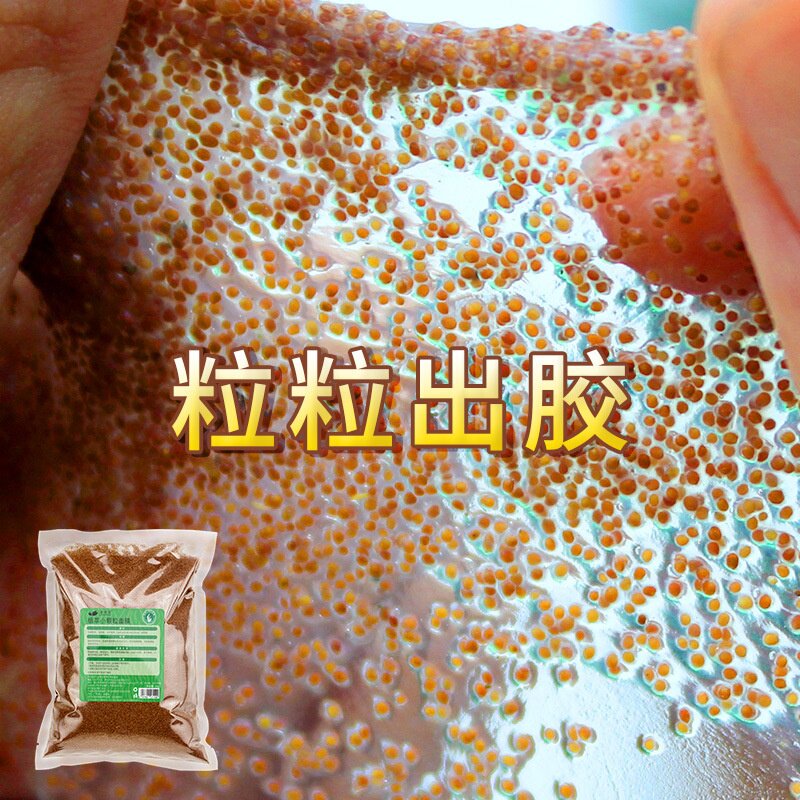 依莲花正品1000g海藻面膜小颗粒补水保湿免洗男女美容院大量批发