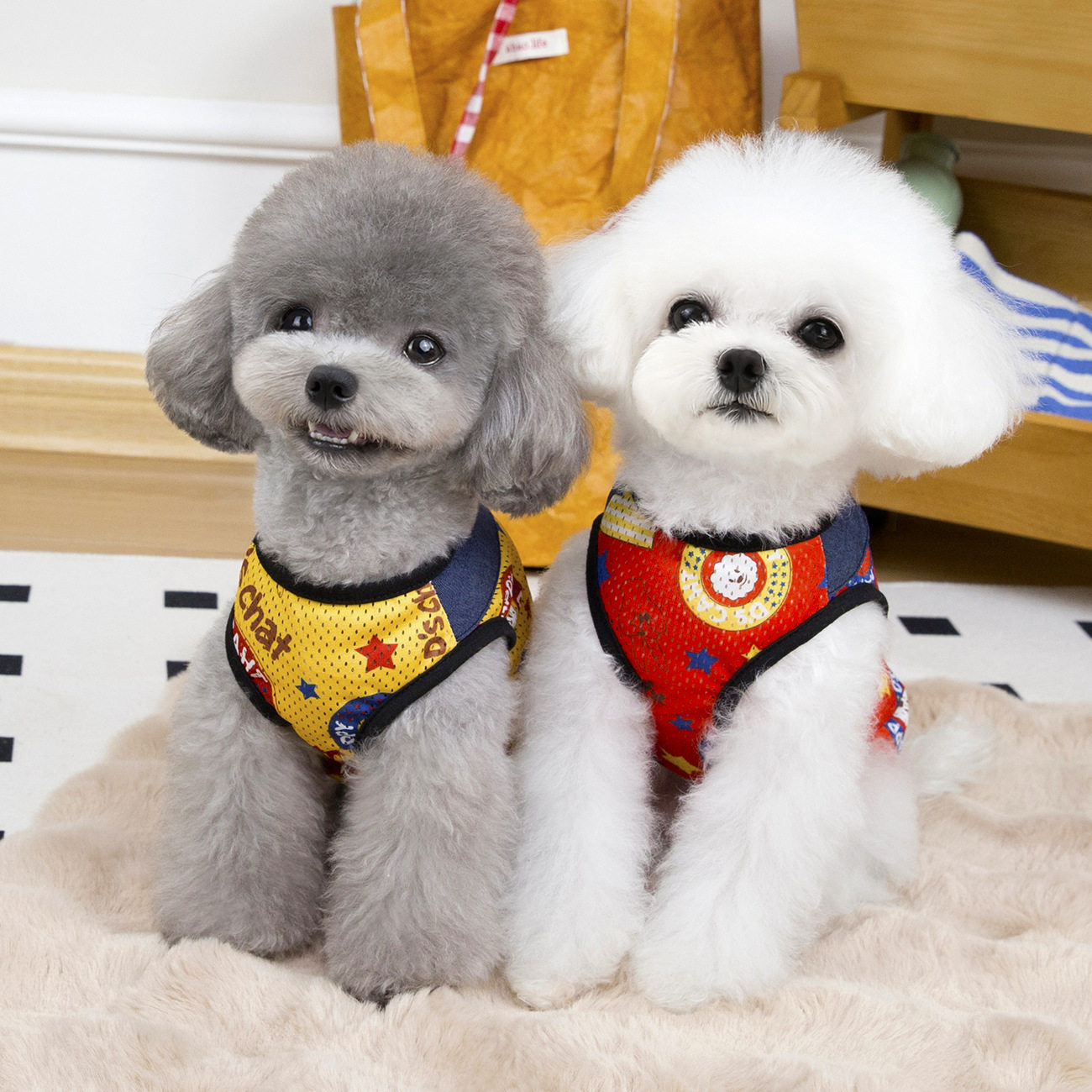 狗狗衣服春夏装新款猫咪泰迪比熊小型犬宠物衣服夏季薄款奥力背心