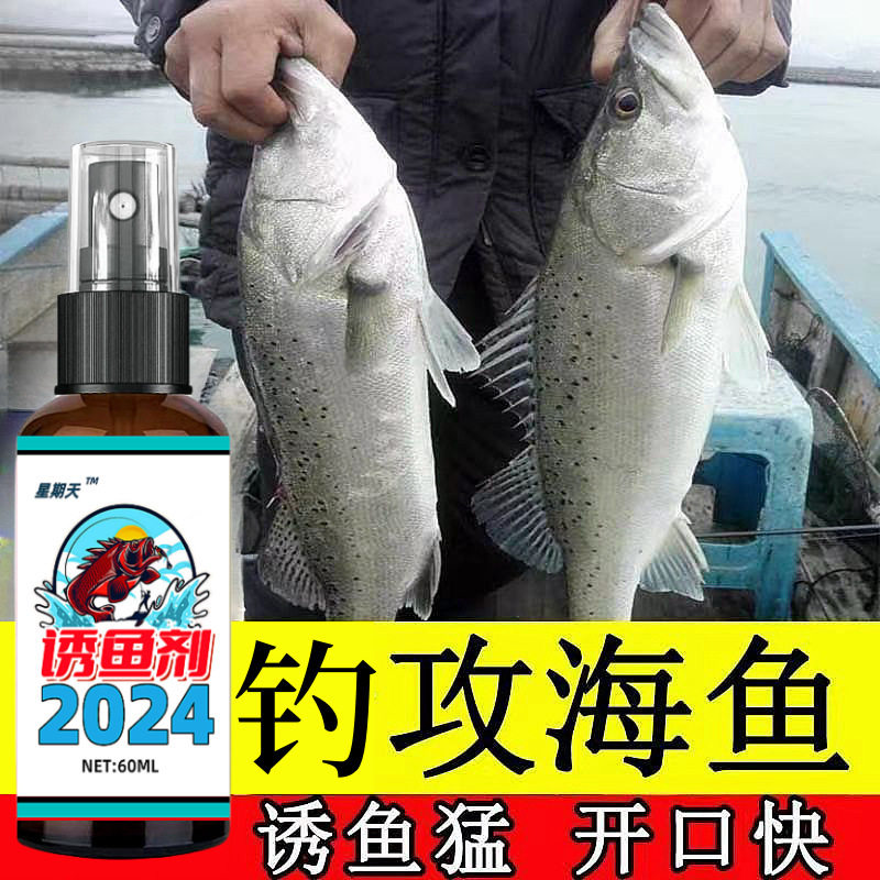 星期天海钓小药腥臭味黑鲷饵料海钓鱼饵海鲈诱鱼剂乌头鱼鲻鱼梭鱼