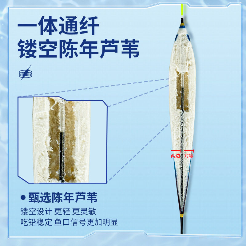小凤仙芦苇浮漂高透水晶尾抗逆光鱼漂高灵敏行程鲤鱼浮漂60CM浮标
