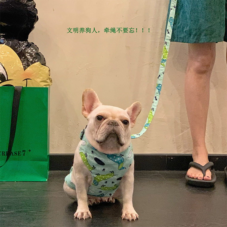 防水防脏宠物肚兜项圈牵手绳八哥犬休闲法斗猫狗大型犬柯基加绒狗