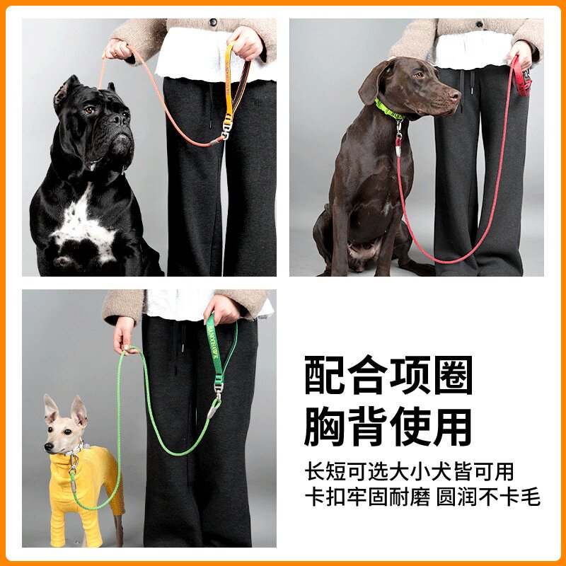 狗狗牵引绳大中小型犬牵狗绳狗猫链遛狗牵引绳旋转防缠绕