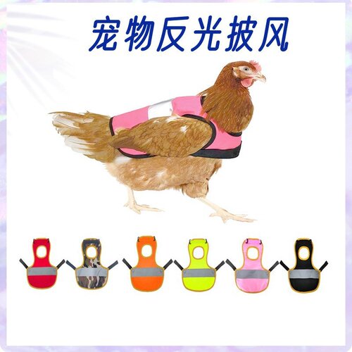 亚马逊新款宠物衣服服装 宠物鸭背心反光披风 秋冬季防水鸡背心