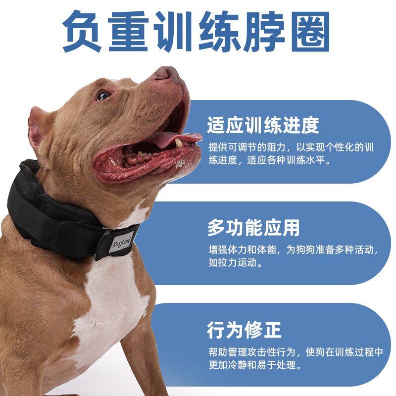 大狗负重训练脖圈宠物运动器材增强狗狗体质可调节重量训练脖圈