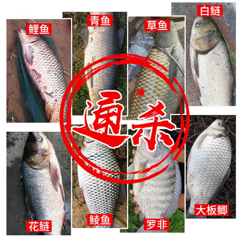 海竿抛竿方块鱼饵饼 鲫鲤草鳊鱼饵料 鱼食爆炸钩饵料鲢鳙糠饵