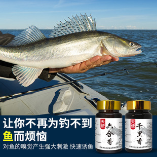 浓缩粉剂钓鱼小药千里香六合香陆克香黑坑野钓鲫鱼鲤鱼诱食剂