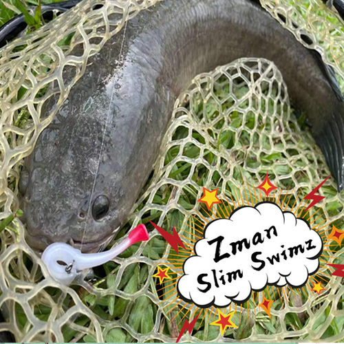 ZMAN跨境款路亚软饵6只装7cm 2.3gTPR软饵 Slim Swimz TPR软饵