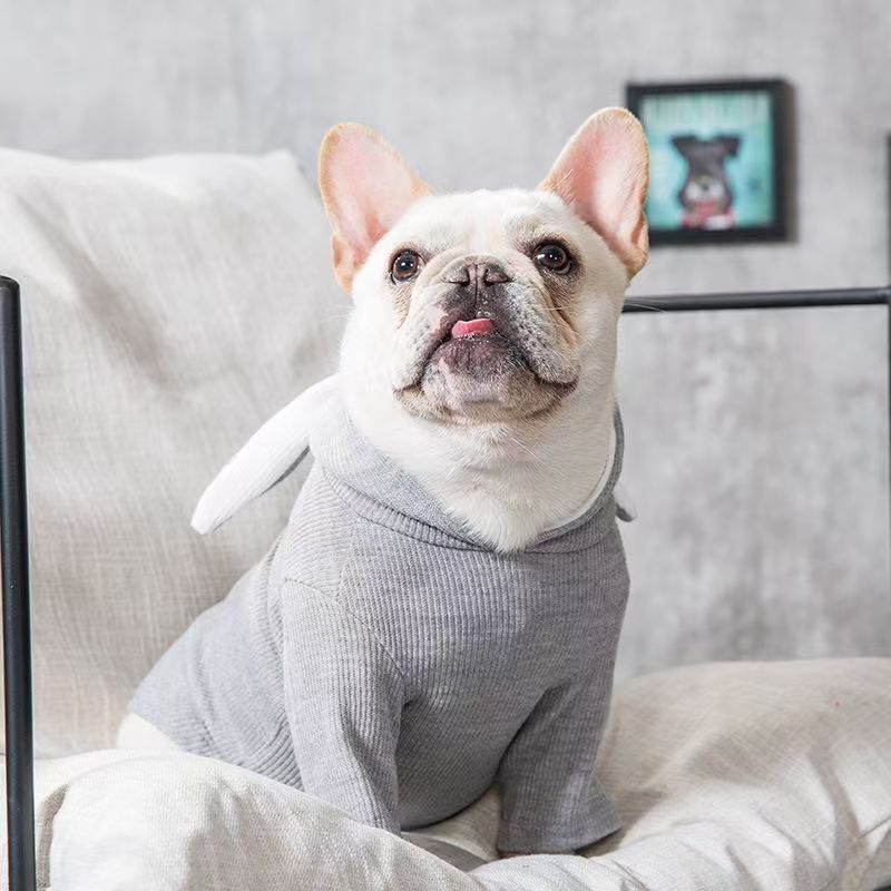 宠物猫猫狗狗秋冬狗狗衣服小型犬针织毛衣连帽兔耳朵宠物服饰衣服
