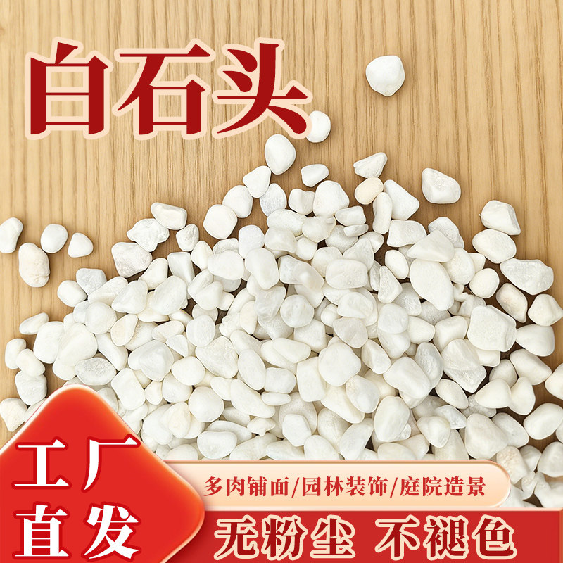天然白石子园艺盆栽石头多肉铺面郁金香庭院造景鱼缸鱼池造景