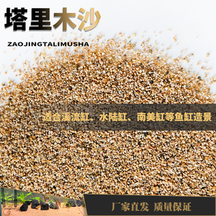 塔里木沙鱼缸造景装饰南美多肉花盆铺面布景溪流展示沙细沙植物