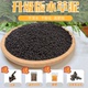 鱼缸专用水草泥陶粒砂水草种子水藻泥免洗不粉化生态底砂造景底沙