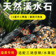原生溪流石造景鱼缸底砂装 饰五彩石大石头头天然铺底免洗鹅卵石