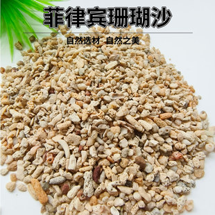 菲律宾沙珊瑚砂寄居蟹专用沙贝壳砂免洗海缸白细沙鱼缸天然造景