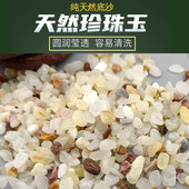 原生鱼缸底沙造景砂珍珠玉沙天然玉石水族箱造景装 饰雨花石雨林沙
