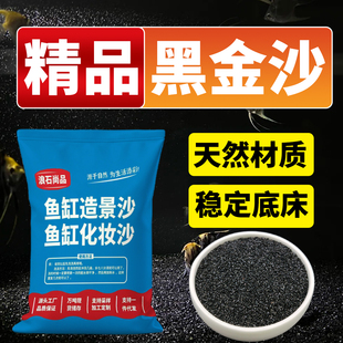 天然黑金沙水族箱鱼缸造景装饰多肉植物铺面黑沙酒店烟灰缸灭烟沙