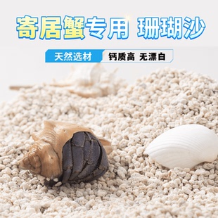 白珊瑚沙天然垫材寄居蟹专用菲律宾砂原生贝壳沙海缸三湖小丑鱼沙