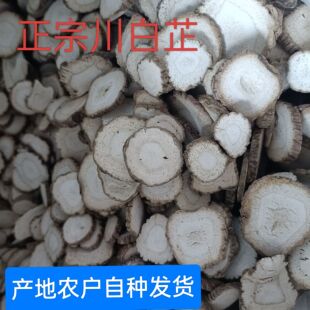 道地药材川白芷香料卤料遂宁白芷片白芷个子白芷粉调料白芷香白芷