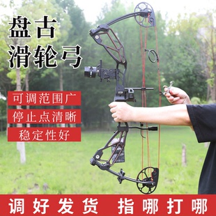新款雷瓦侬盘古复合弓高精度成人复合弓猎弓户外射击射箭比赛弓箭