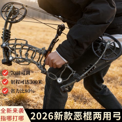 恶棍钢珠弓大威力高精度