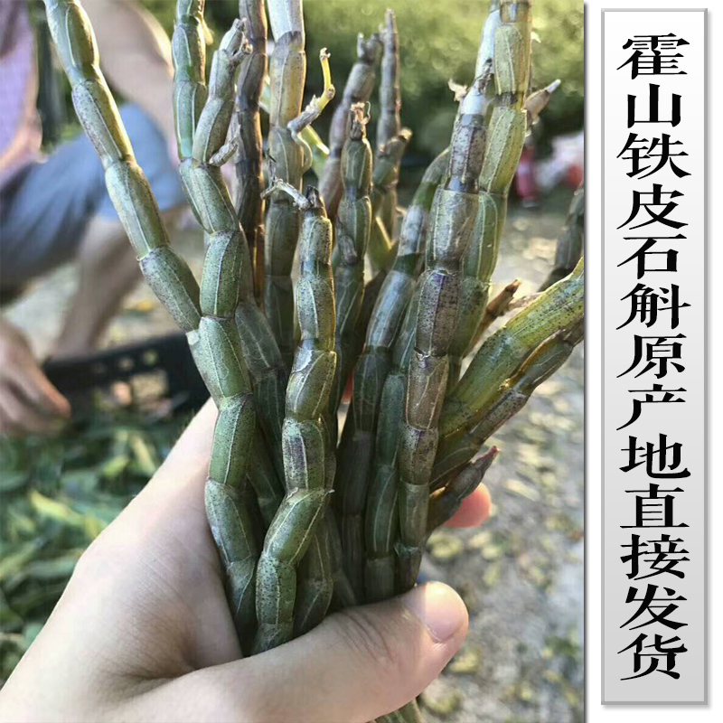 正宗霍山鲜石斛鲜条500g煲汤用品安徽六安枫斗官方道地产铁皮石斛