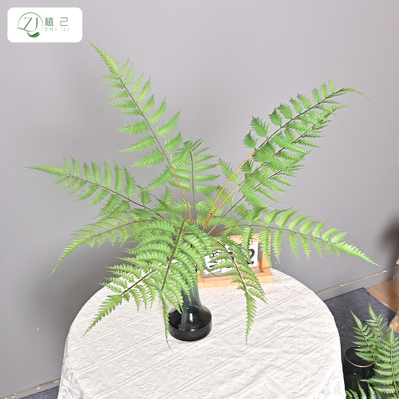 仿真绿植有须锯草室内客厅户外花墙装饰植物造景盆栽摆设蕨类锯叶