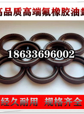 TC110X140X12/13/14氟橡胶骨架油封 耐酸碱抗老化耐高温耐磨耐油