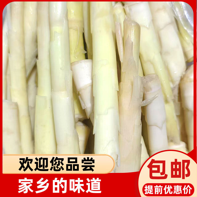 寿宁土特产新鲜小笋500g