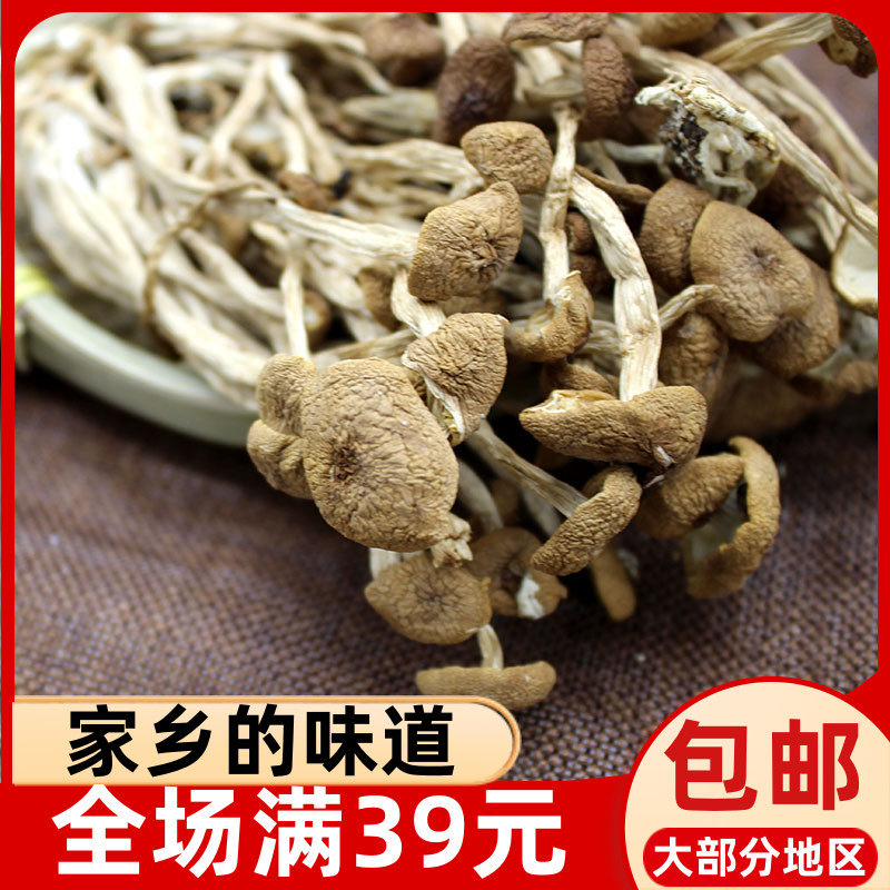 不开伞茶树菇 茶薪菇 嫩菇 特产 干货200g福建宁德寿宁古田土特产