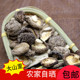 寿宁土特产小香菇农家自产干货食用菌味道香250g福建古田特产 包邮