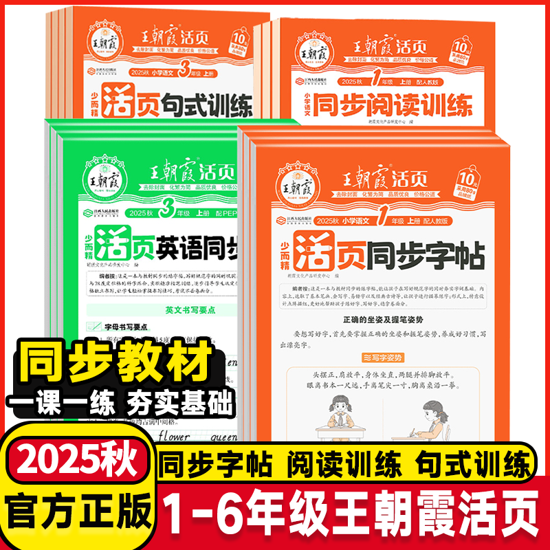 王朝霞小学语文字词句段篇专项练