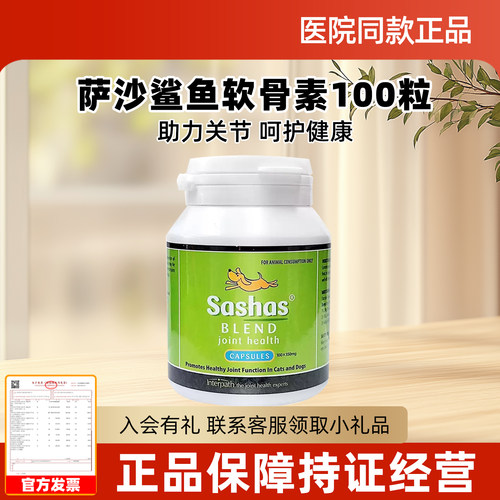 萨沙sashas关节炎宠物猫猫咪狗狗