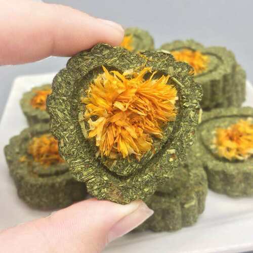 兔兔磨牙草饼荷兰猪磨牙
