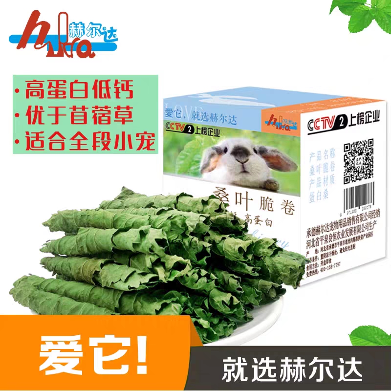桑叶卷兔子零食龙猫荷兰猪零食高蛋白低钙营养草兔兔干草桑叶牧草