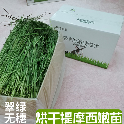 提摩西兔子荷兰猪牧草烘干嫩绿