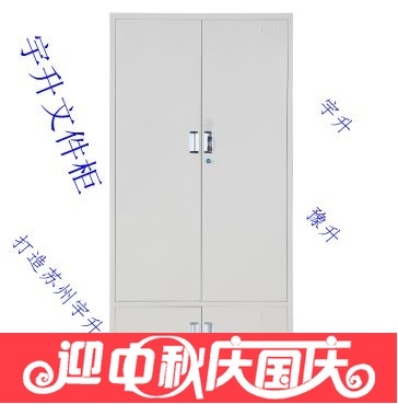 文件柜铁皮柜资料柜档案柜/下档凭证柜/办公家具柜/钢柜/