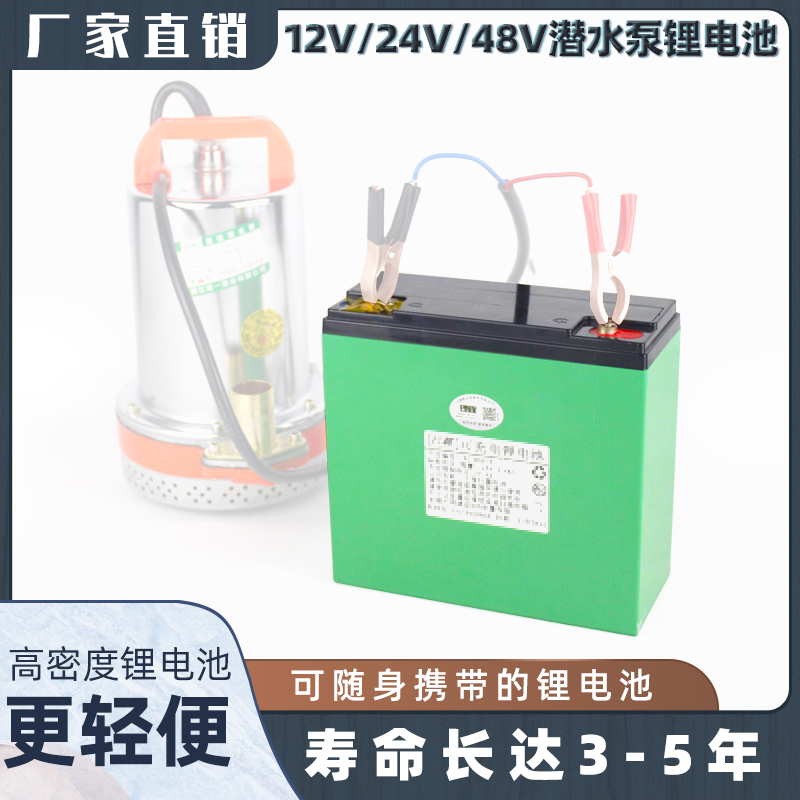 12V24V48V便携式农用浇菜水泵直流抽水机大潜水泵洗车机锂电池