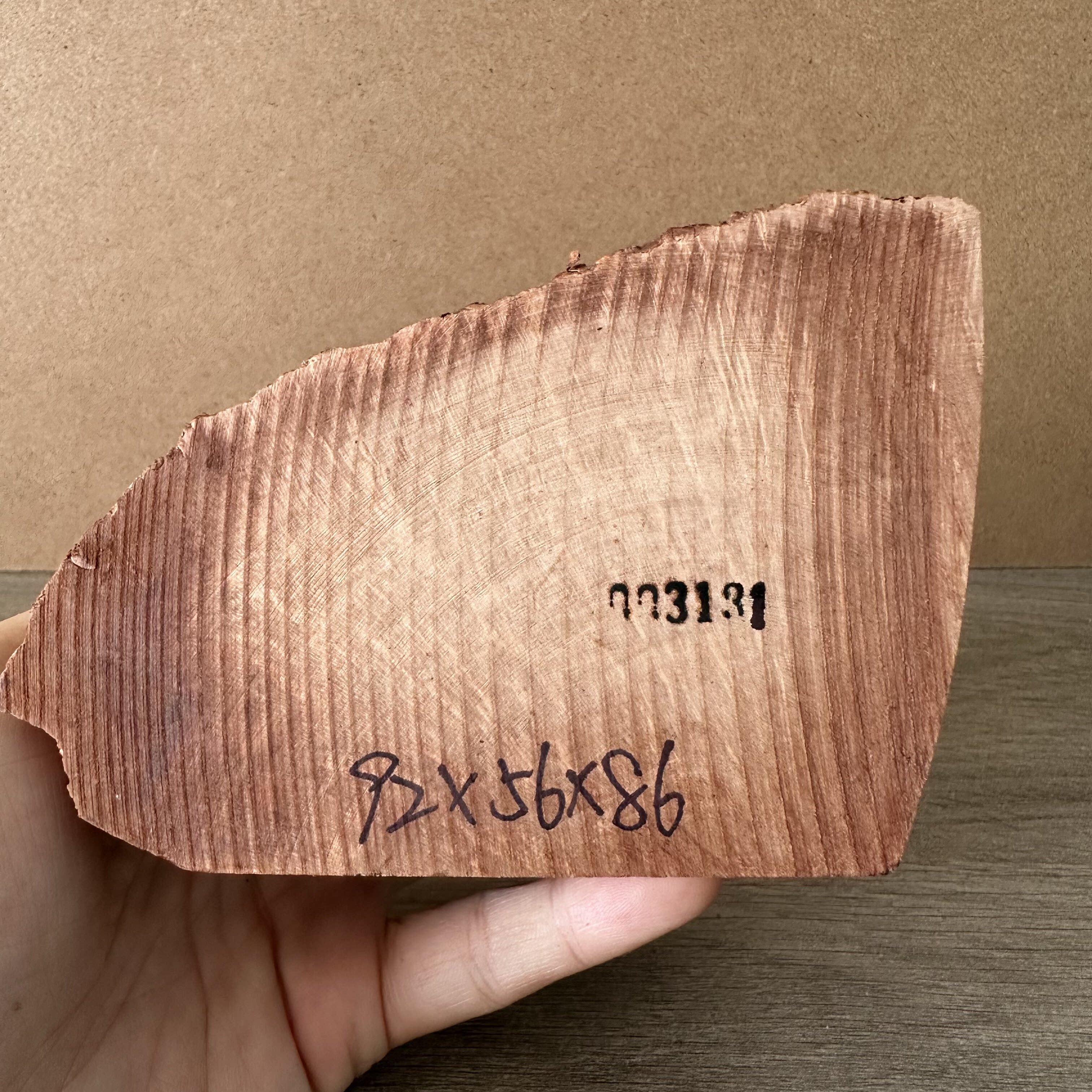 意大利进口带皮石楠木根瘤 白料 干燥多年老料 手工烟斗DIY专用
