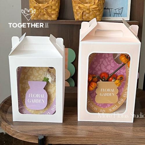 苁丛开窗手提袋手提盒教师节