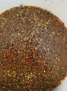 200只便宜全红苹果螺活清洁净化水质鱼缸残食斑马狗头乌龟饲料